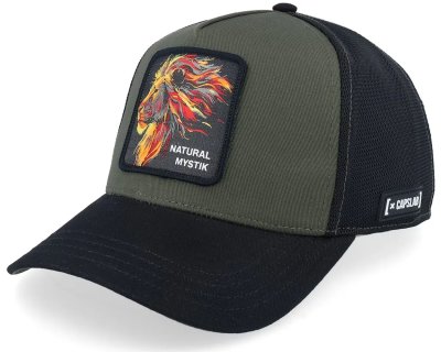 Keps - Capslab Fantastic Beasts Natural Mystik (grön/svart)
